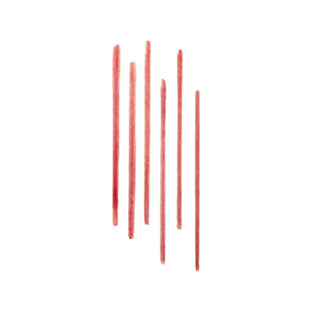 Lip Tint Liner